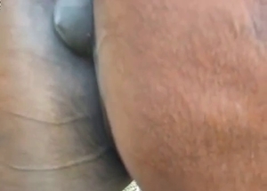 The cock hungry pussy of a mare gets totally fisted