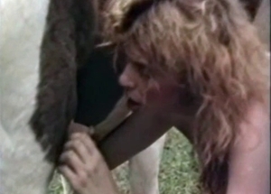 Stallion pounds a sex-addicted zoophile slut