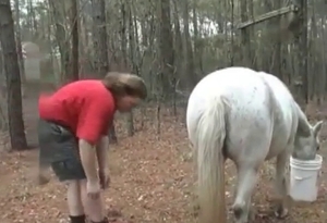 Seducing for a really handsome white horse that wants fun