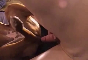 Dog gets totally banged in missionary position