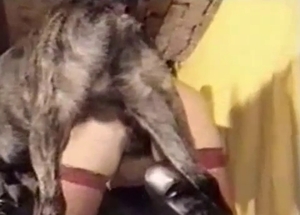 Female in sexy red lingerie likes bestiality XXX