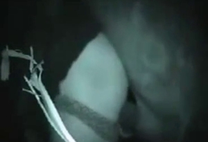 Sensual leggy hottie is enjoying intensive bestiality