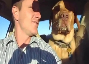 Dude Frenching his dog while they are in the car