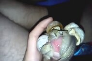 Asian animal xxx